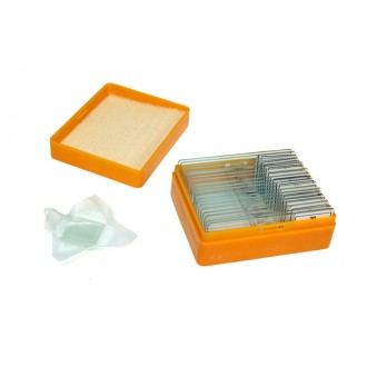 Sada preparátů připravených k pozorování mikroskopem Levenhuk N20 NG